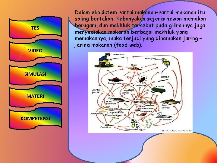 TES VIDEO SIMULASI MATERI KOMPETENSI Dalam ekosistem rantai makanan–rantai makanan itu saling bertalian. Kebanyakan