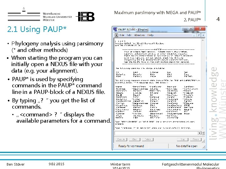 Maximum parsimony with MEGA and PAUP* 2. PAUP* 4 2. 1 Using PAUP* •