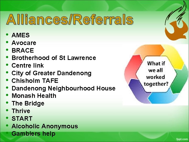 Alliances/Referrals • • • • AMES Avocare BRACE Brotherhood of St Lawrence Centre link