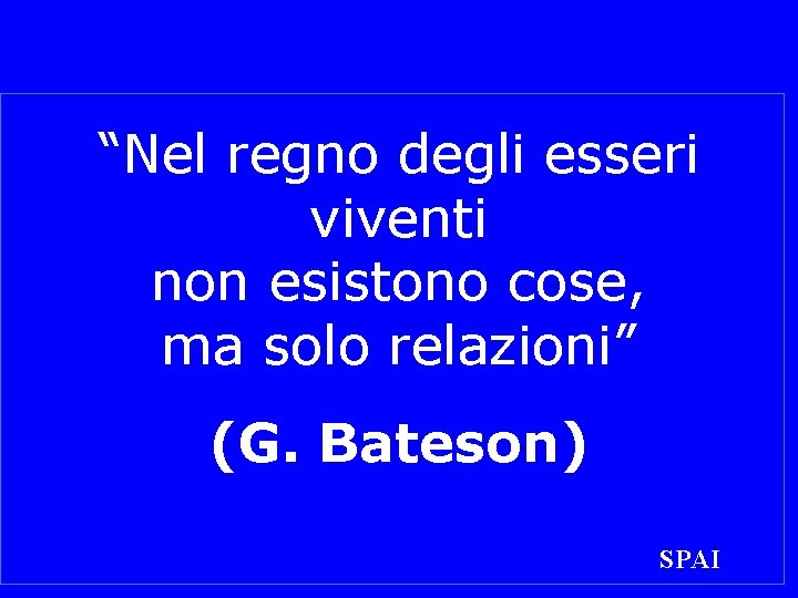 “Nel regno degli esseri viventi non esistono cose, ma solo relazioni” (G. Bateson) SPAI