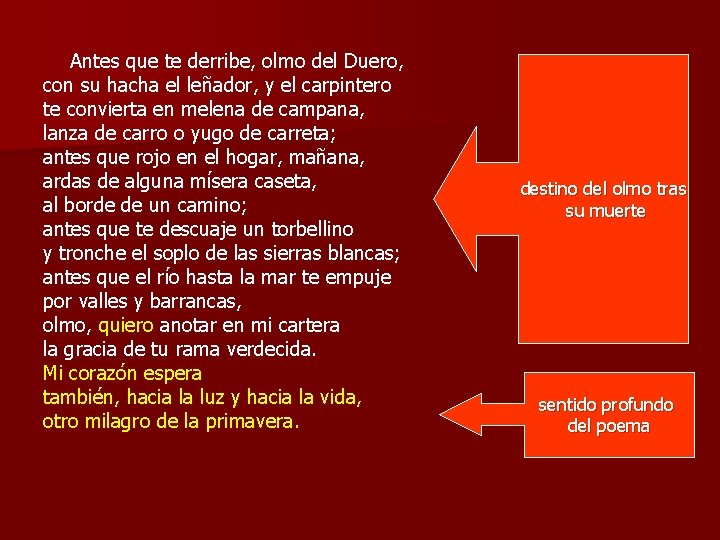 Antes que te derribe, olmo del Duero, con su hacha el leñador, y el