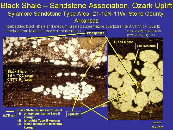 Black Shale – Sandstone Association, Ozark Uplift Sylamore Sandstone Type Area, 21 -15 N-11 Black Shale – Sandstone Association, Ozark Uplift Sylamore Sandstone Type Area, 21 -15 N-11