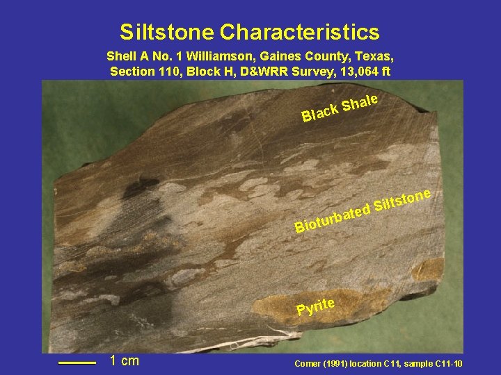 Siltstone Characteristics Shell A No. 1 Williamson, Gaines County, Texas, Section 110, Block H, Siltstone Characteristics Shell A No. 1 Williamson, Gaines County, Texas, Section 110, Block H,