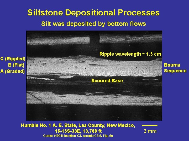 Siltstone Depositional Processes Silt was deposited by bottom flows C (Rippled) B (Flat) A Siltstone Depositional Processes Silt was deposited by bottom flows C (Rippled) B (Flat) A