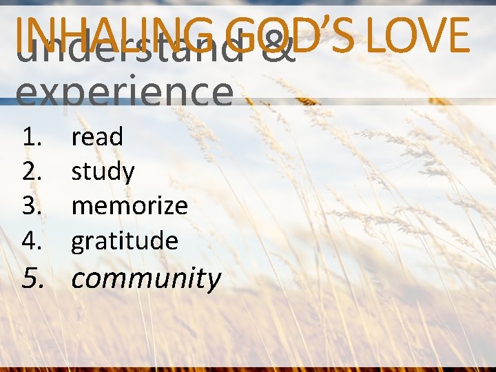 INHALING GOD’S LOVE understand & experience 1. 2. 3. 4. read study memorize gratitude