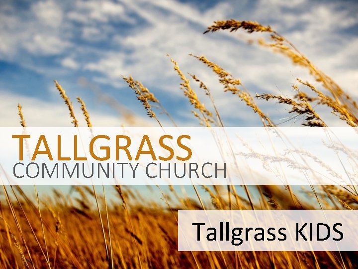 TALLGRASS COMMUNITY CHURCH Tallgrass KIDS 