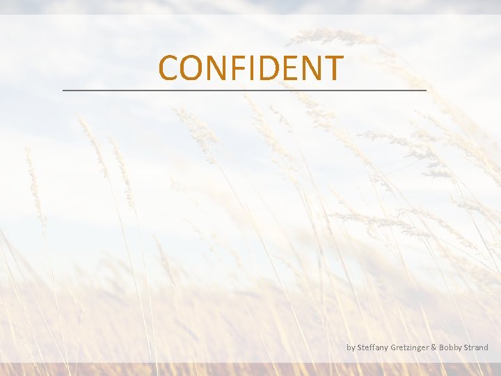 CONFIDENT by Steffany Gretzinger & Bobby Strand 