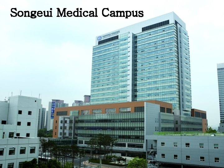 Songeui Medical Campus 