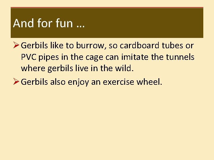 And for fun … Ø Gerbils like to burrow, so cardboard tubes or PVC