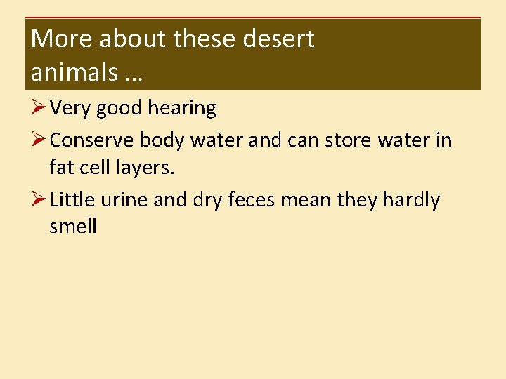 More about these desert animals … Ø Very good hearing Ø Conserve body water