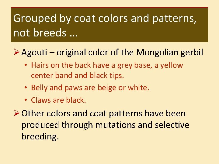 Grouped by coat colors and patterns, not breeds … Ø Agouti – original color