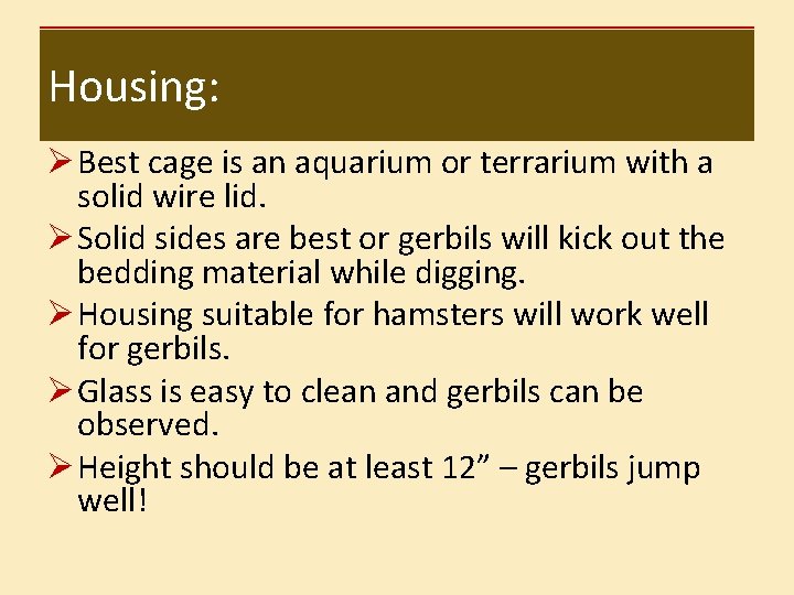 Housing: Ø Best cage is an aquarium or terrarium with a solid wire lid.