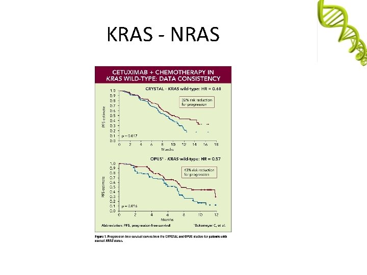 KRAS - NRAS 
