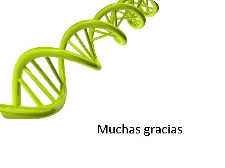 Muchas gracias 