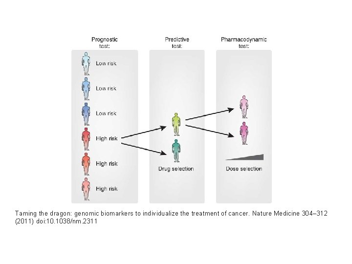 Taming the dragon: genomic biomarkers to individualize the treatment of cancer. Nature Medicine 304–