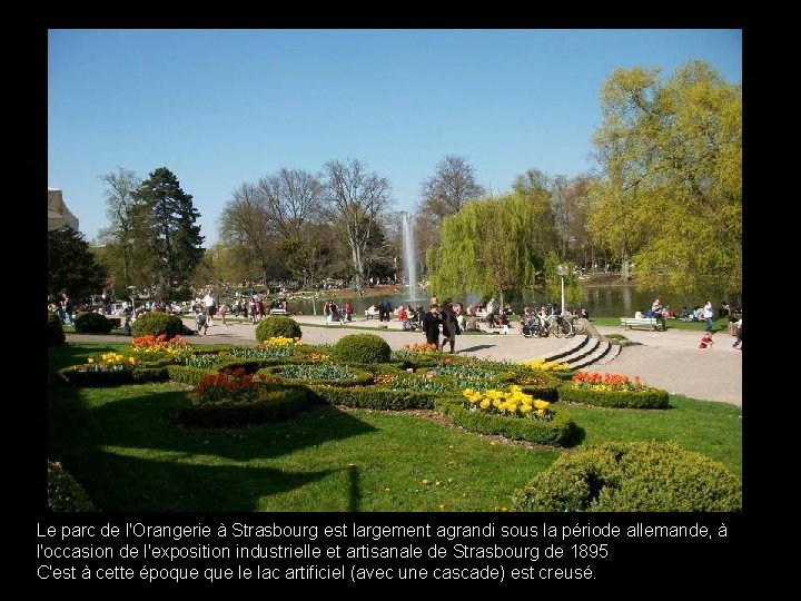 Le parc de l'Orangerie à Strasbourg est largement agrandi sous la période allemande, à