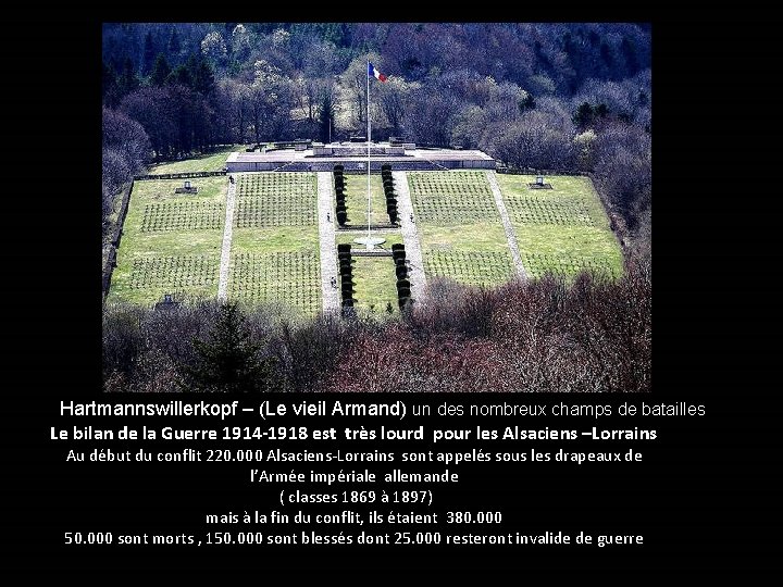 Hartmannswillerkopf – (Le vieil Armand) un des nombreux champs de batailles Le bilan de