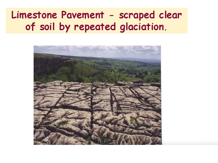 Limestone Pavement - scraped clear of soil by repeated glaciation. 