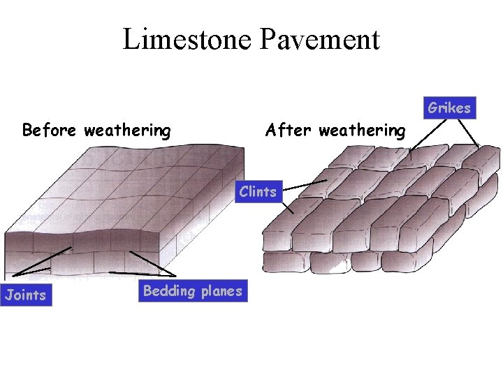 Limestone Pavement Grikes Before weathering After weathering Clints Joints Bedding planes 