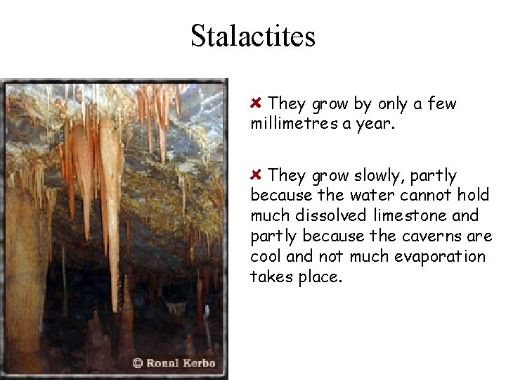 Stalactites They grow by only a few millimetres a year. They grow slowly, partly