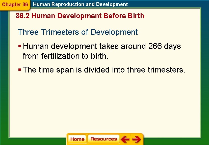 Chapter 36 Human Reproduction and Development 36. 2 Human Development Before Birth Three Trimesters