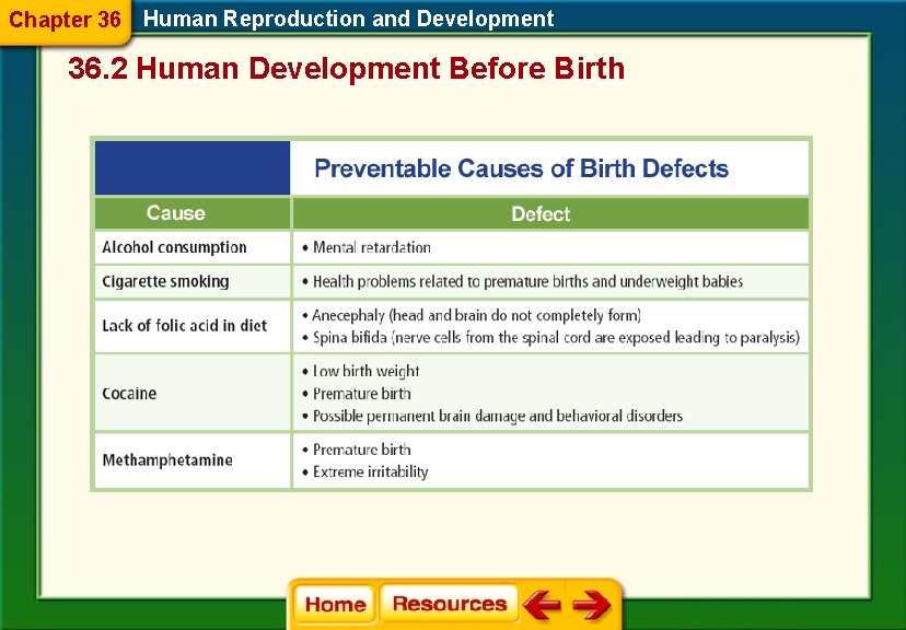 Chapter 36 Human Reproduction and Development 36. 2 Human Development Before Birth 