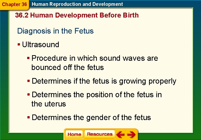 Chapter 36 Human Reproduction and Development 36. 2 Human Development Before Birth Diagnosis in