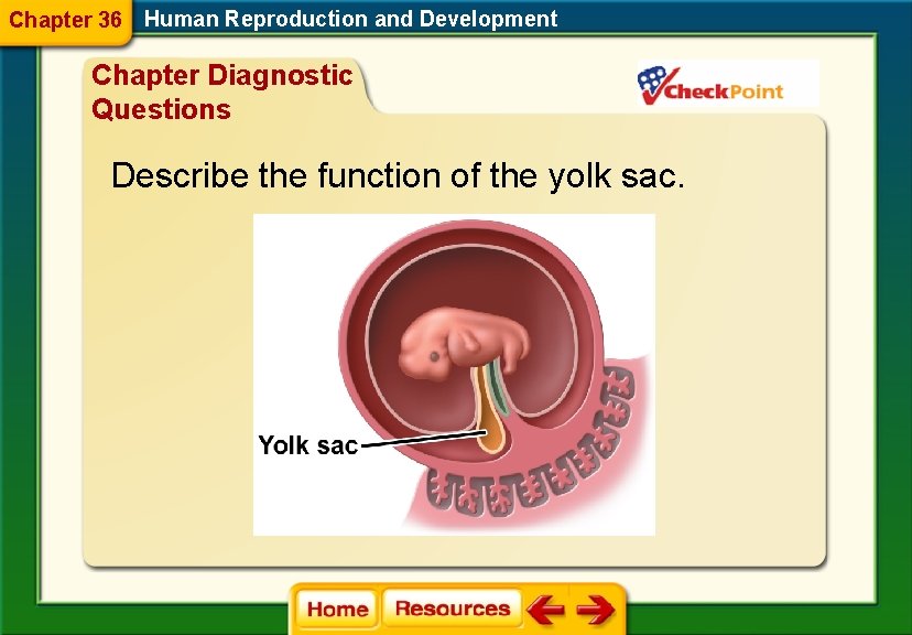 Chapter 36 Human Reproduction and Development Chapter Diagnostic Questions Describe the function of the