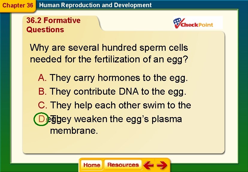 Chapter 36 Human Reproduction and Development 36. 2 Formative Questions Why are several hundred