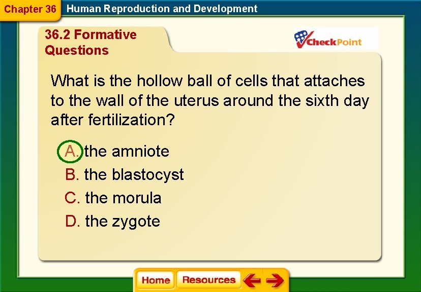 Chapter 36 Human Reproduction and Development 36. 2 Formative Questions What is the hollow