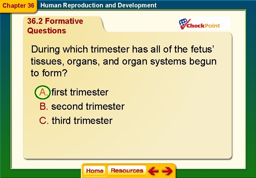 Chapter 36 Human Reproduction and Development 36. 2 Formative Questions During which trimester has