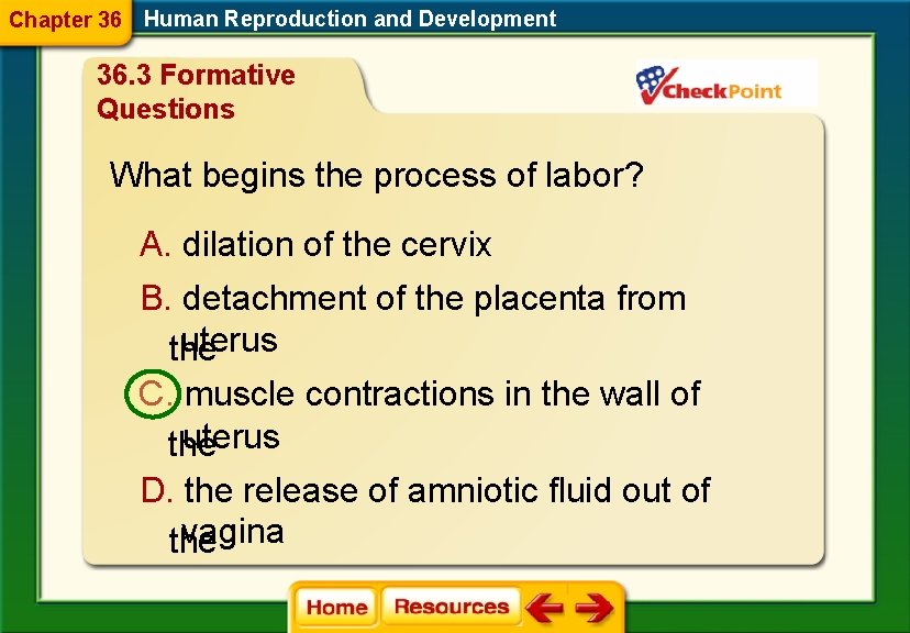 Chapter 36 Human Reproduction and Development 36. 3 Formative Questions What begins the process