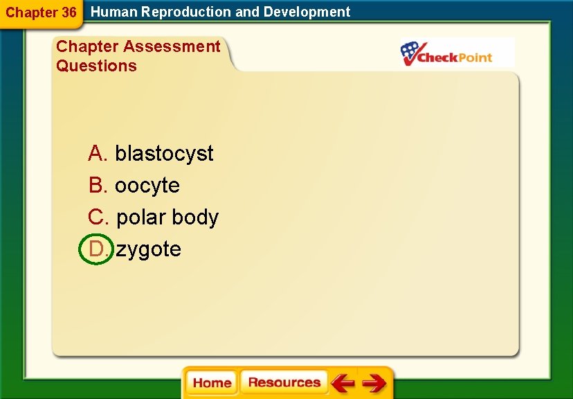 Chapter 36 Human Reproduction and Development Chapter Assessment Questions A. blastocyst B. oocyte C.