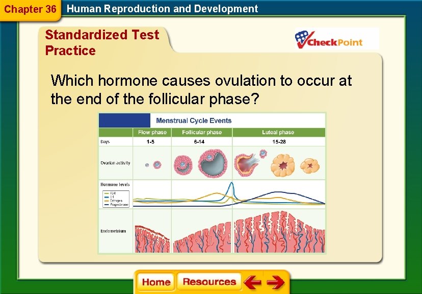 Chapter 36 Human Reproduction and Development Standardized Test Practice Which hormone causes ovulation to