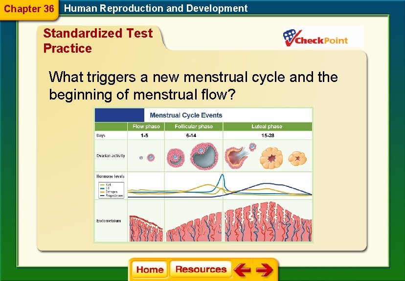 Chapter 36 Human Reproduction and Development Standardized Test Practice What triggers a new menstrual