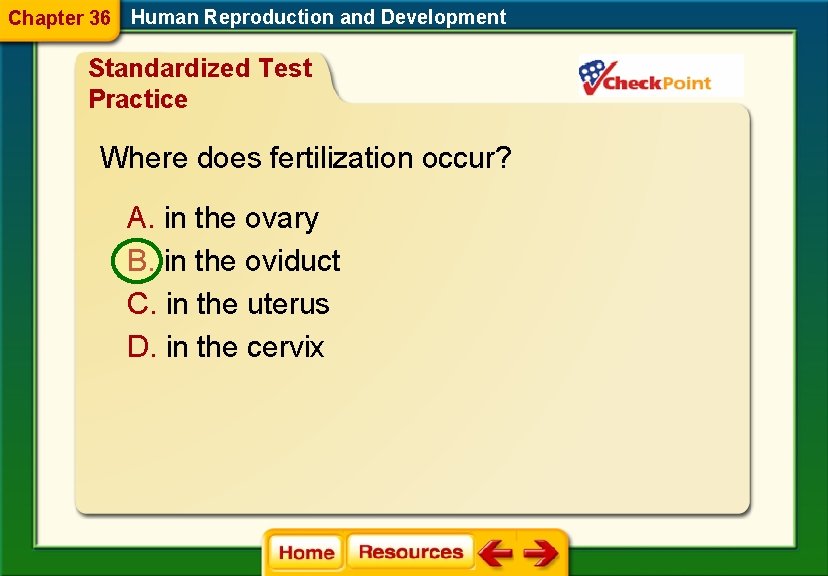 Chapter 36 Human Reproduction and Development Standardized Test Practice Where does fertilization occur? A.