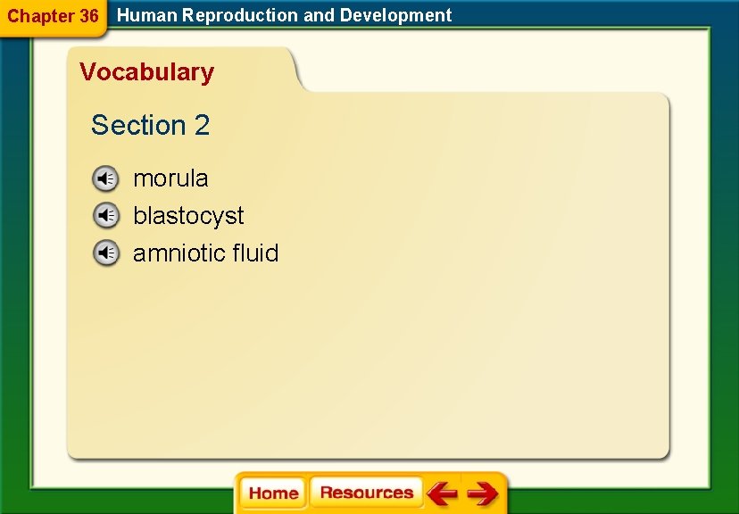 Chapter 36 Human Reproduction and Development Vocabulary Section 2 morula blastocyst amniotic fluid 