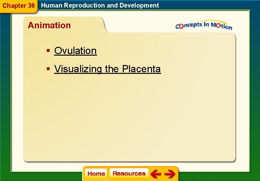 Chapter 36 Human Reproduction and Development Animation § Ovulation § Visualizing the Placenta 