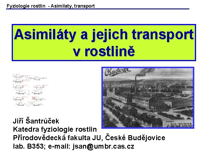 Fyziologie rostlin - Asimilaty, transport Asimiláty a jejich transport v rostlině Jiří Šantrůček Katedra Fyziologie rostlin - Asimilaty, transport Asimiláty a jejich transport v rostlině Jiří Šantrůček Katedra