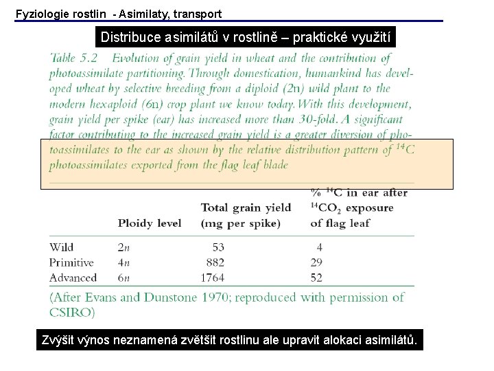 Fyziologie rostlin - Asimilaty, transport Distribuce asimilátů v rostlině – praktické využití Zvýšit výnos Fyziologie rostlin - Asimilaty, transport Distribuce asimilátů v rostlině – praktické využití Zvýšit výnos