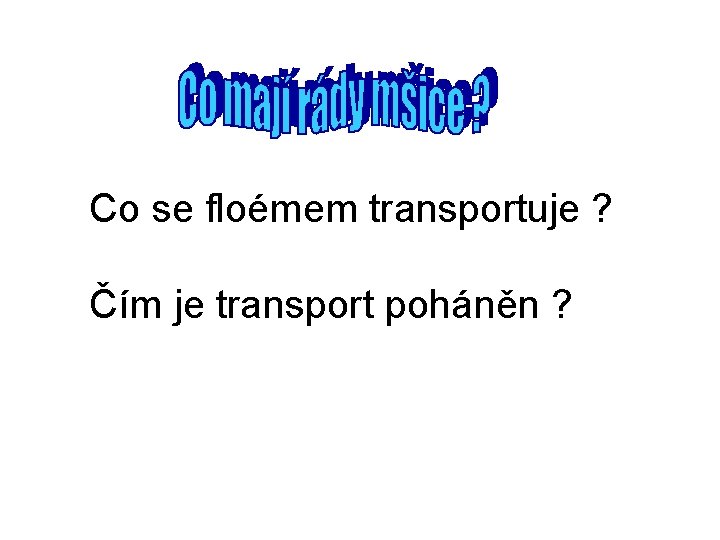 Co se floémem transportuje ? Čím je transport poháněn ? Co se floémem transportuje ? Čím je transport poháněn ?