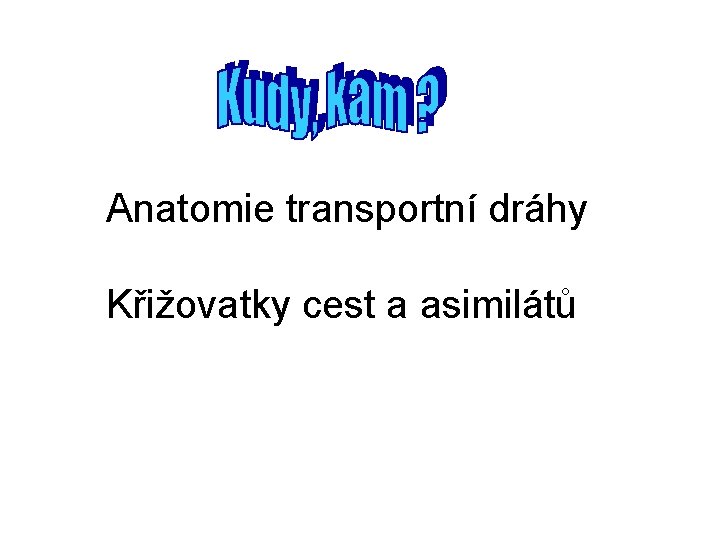 Anatomie transportní dráhy Křižovatky cest a asimilátů Anatomie transportní dráhy Křižovatky cest a asimilátů