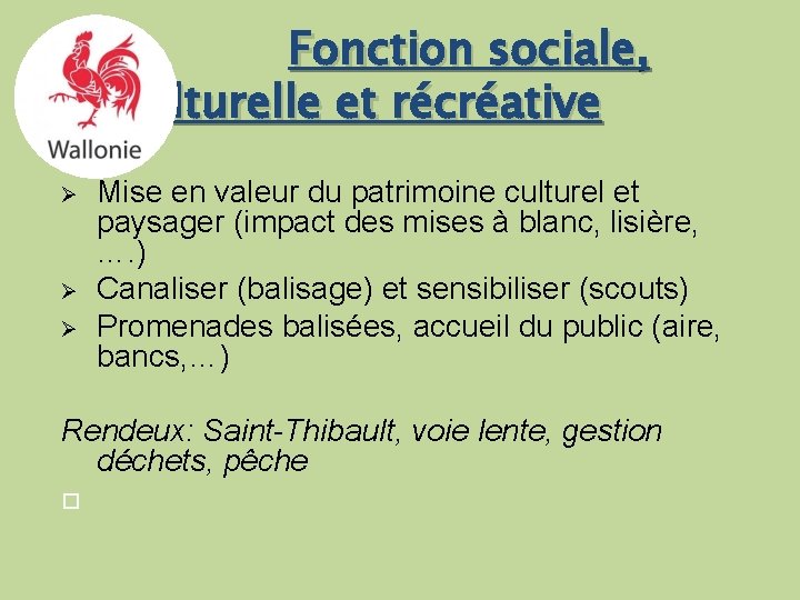 Fonction sociale, culturelle et récréative Ø Ø Ø Mise en valeur du patrimoine culturel