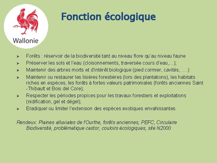 Fonction écologique Ø Ø Ø Forêts : réservoir de la biodiversité tant au niveau