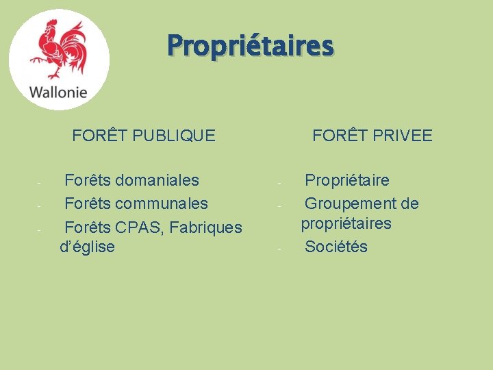 Propriétaires FORÊT PUBLIQUE - Forêts domaniales Forêts communales Forêts CPAS, Fabriques d’église FORÊT PRIVEE