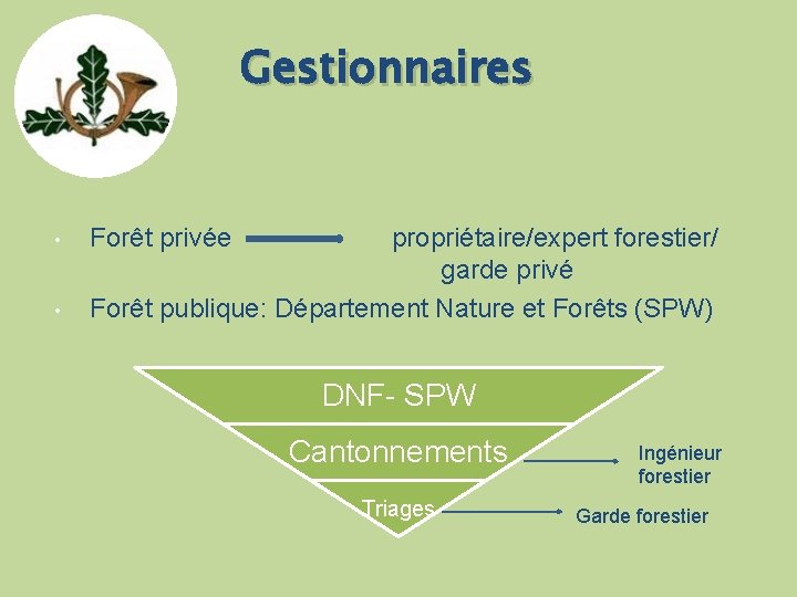 Gestionnaires • • Forêt privée propriétaire/expert forestier/ garde privé Forêt publique: Département Nature et