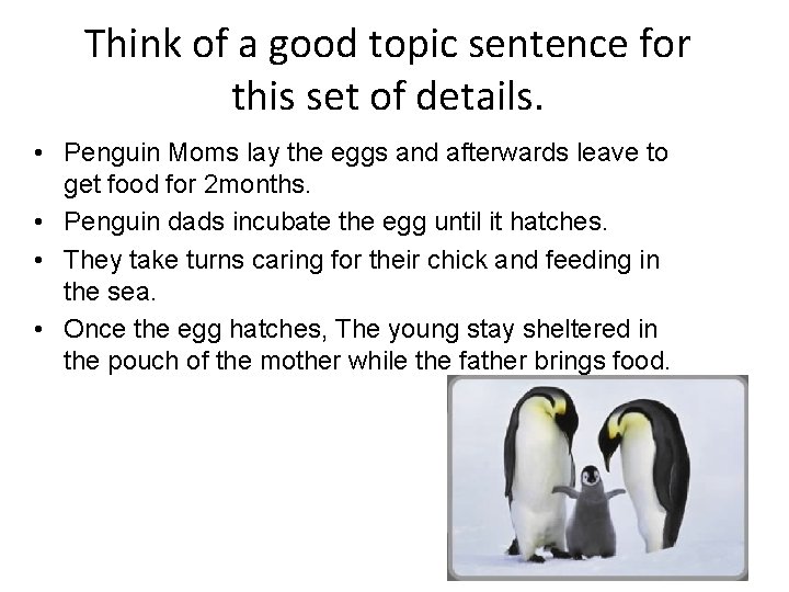 Think of a good topic sentence for this set of details. • Penguin Moms