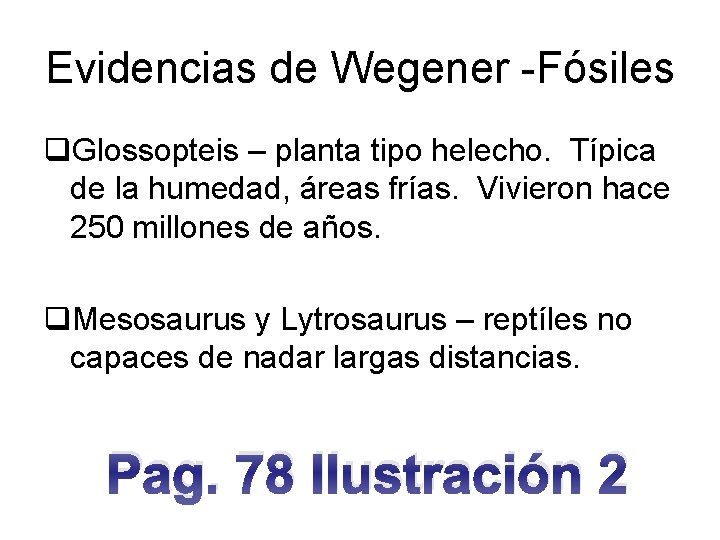 Evidencias de Wegener -Fósiles q. Glossopteis – planta tipo helecho. Típica de la humedad,