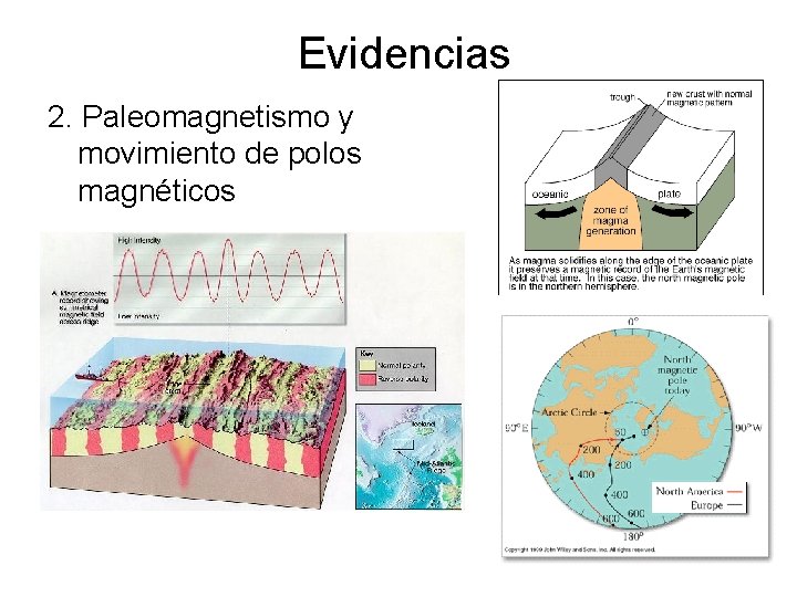 Evidencias 2. Paleomagnetismo y movimiento de polos magnéticos 