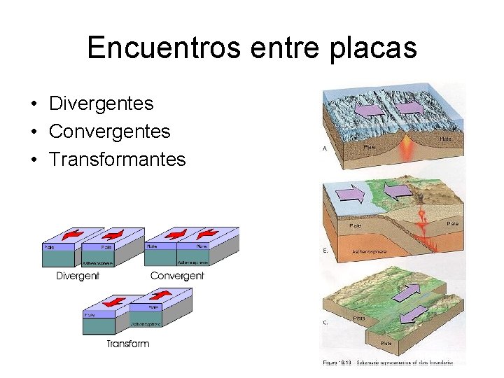 Encuentros entre placas • Divergentes • Convergentes • Transformantes 